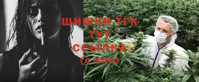 где найти наркотики  Черноголовка  Каннабис SATIVA & INDICA 